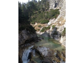 Natur