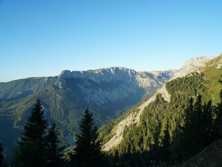 Natur