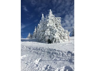 Camera per vacanze Mürzzuschlag Registrazione all'aperto 7