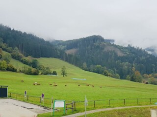 Aussicht auf die Berge