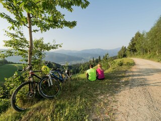 Apartamento Sankt Marein im Mürztal Grabación al aire libre 9