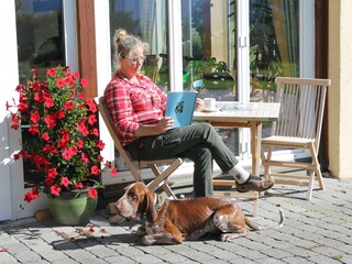 Hund willkommen I