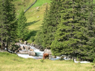 wunderschöne Wanderwege