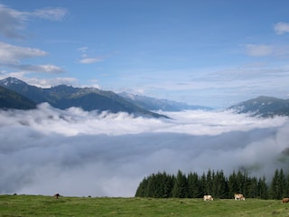Ganz in der Nähe
