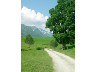 Weg vom Engbach Richtung Resterhöhe