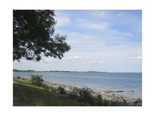 Vakantieappartement Kronsgaard Omgeving 22