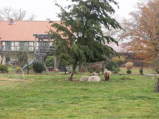 Bauernhof in traumhafter Einzellage