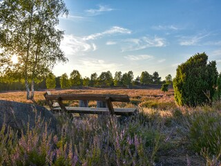 Unterwegs in der Ellerndorfer Heide