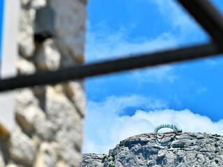 Casa per le vacanze Tucepi Ambiente 22