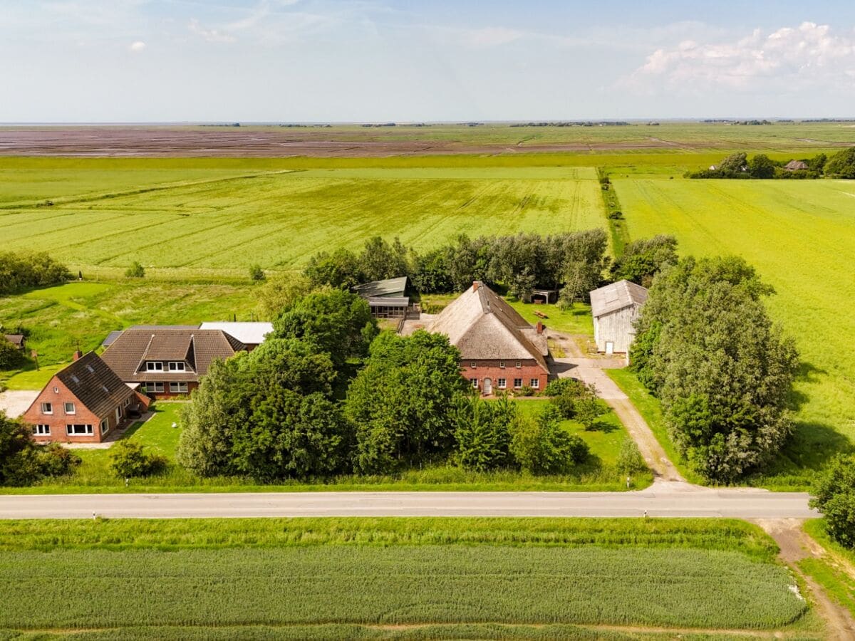 Ferienhaus Tating Außenaufnahme 1