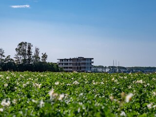 Ferienhaus Arnemuiden Außenaufnahme 8