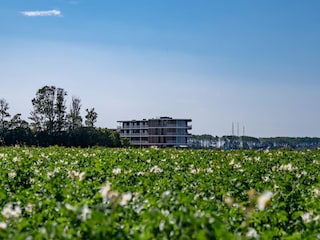 Ferienhaus Arnemuiden Außenaufnahme 7