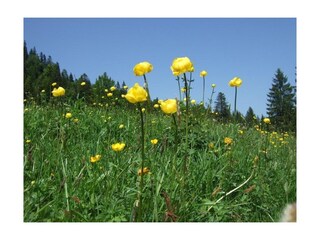 Appartamento per vacanze Bad Hindelang Ambiente 13