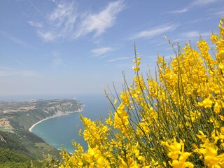 Appartamento per vacanze Monte San Vito Ambiente 19