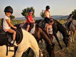 Reiten Medvidovich ranch