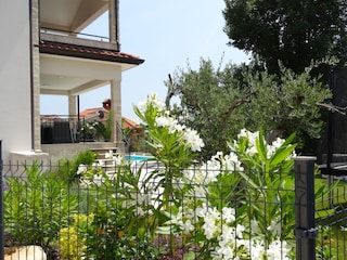 Garten mit Pool und Trampolin