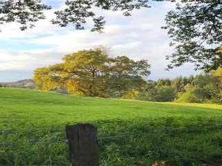 Vakantiehuis Robertville Omgeving 34