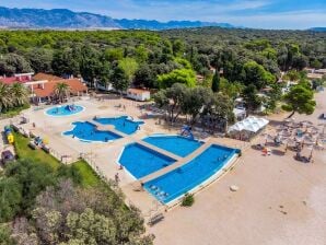 Ferienpark Mobilheim Melia im Caravanpark Strasko, Novalja-ehemals TUI Ferienhaus - Stara Novalja - image1