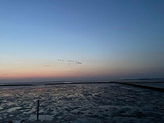 Casa per le vacanze Dornumersiel Ambiente 16