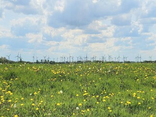 Casa per le vacanze Dornumersiel Ambiente 19