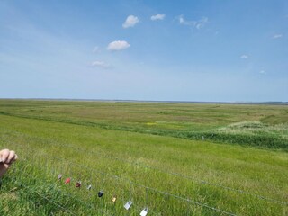 Maison de vacances Dornumersiel Environnement 29