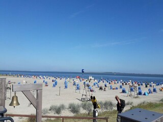 Holiday house Dornumersiel Environment 34