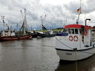 Casa per le vacanze Dornumersiel Ambiente 33