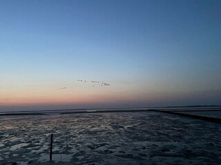 Vakantiehuis Dornumersiel Omgeving 43