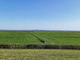 Holiday house Dornumersiel Environment 22