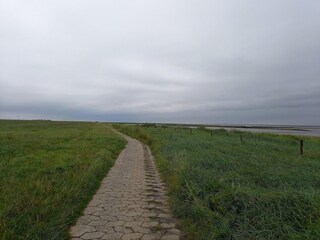 Vakantiehuis Dornumersiel Omgeving 21