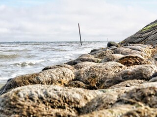 Holiday house Dornumersiel Environment 34