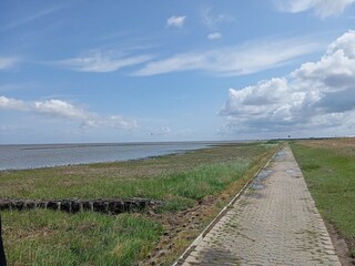 Vakantiehuis Dornumersiel Omgeving 53