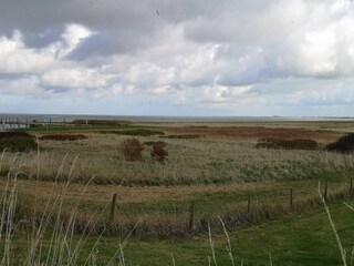 Ferienhaus Dornumersiel Umgebung 64