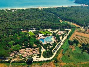 Ferienpark Bungalow in Castiglione della Pescaia mit Sauna - Castiglione Della Pescaia - image1