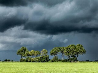 Bungalow Makkum Environnement 34