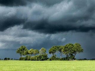 Bungaló Makkum Entorno 36