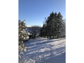 Blick aus dem Wohnzimmer