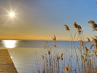 Vakantieappartement Weiden am See Omgeving 33