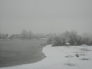 Holiday apartment Weiden am See Environment 38