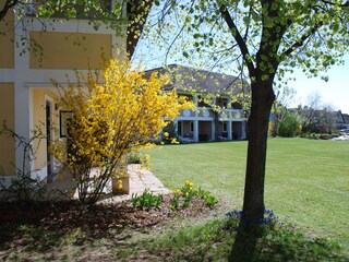 Appartamento per vacanze Weiden am See Ambiente 24