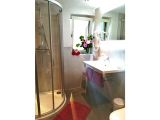 Appartamento per vacanze Mayrhofen Registrazione all'aperto 5