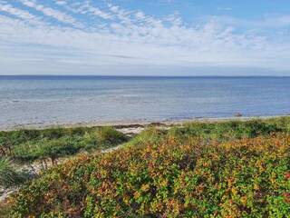 Vakantiehuis Kulhuse  33