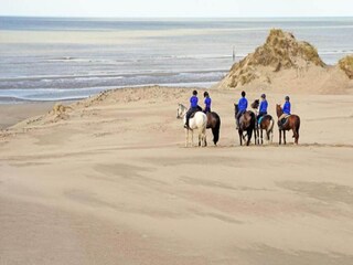 Apartment De Haan Environment 31