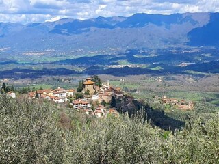 Villa Cavriglia Environnement 34