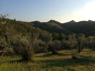 Villa Cavriglia Environnement 26
