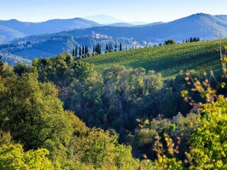 Villa Cavriglia Environment 29