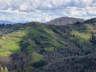 Villa Cavriglia Environnement 27