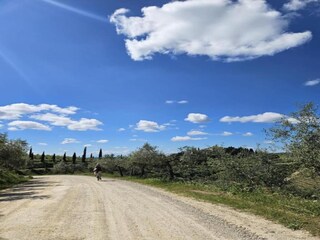 Villa Cavriglia Omgeving 27