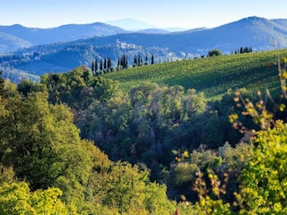 Villa Cavriglia Environment 35