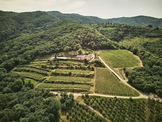 Villa Cavriglia Außenaufnahme 13